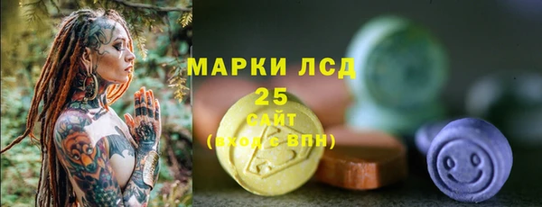 спиды Пересвет
