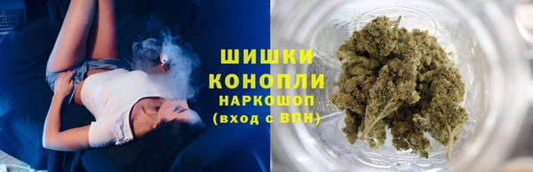 крисы Калач