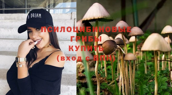 герыч Переславль-Залесский