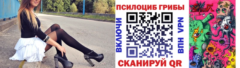 где можно купить наркотик  Краснозаводск  нарко площадка телеграм  Псилоцибиновые грибы GOLDEN TEACHER 